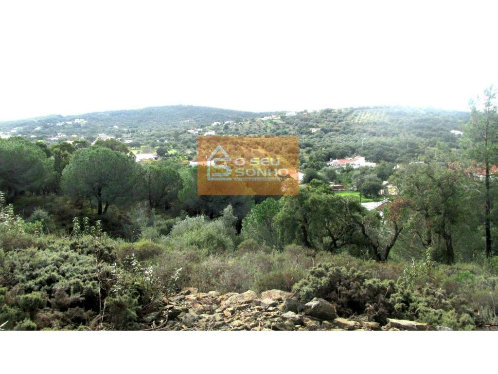 Grande Oportunidade de Negócio - Terreno para Construção em São Brá... - Grande imagem: 2/5