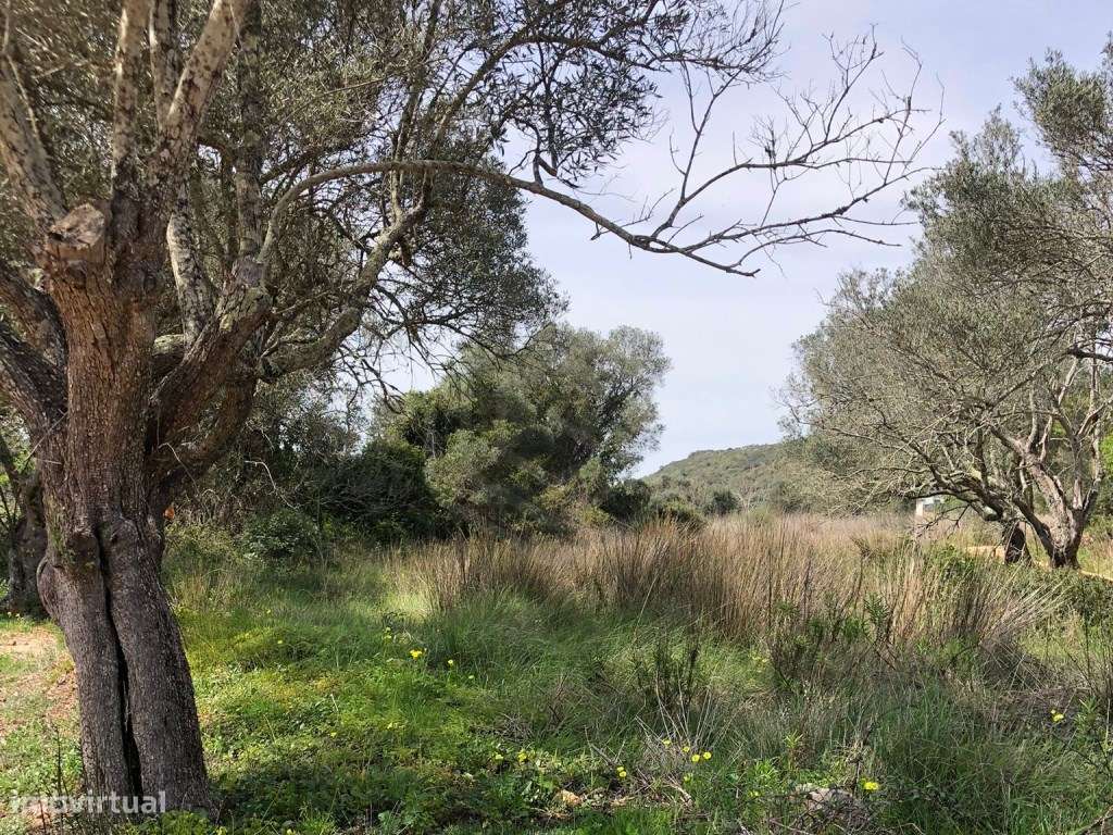 Lote de terreno rústico, Loulé, Algarve - Grande imagem: 5/11