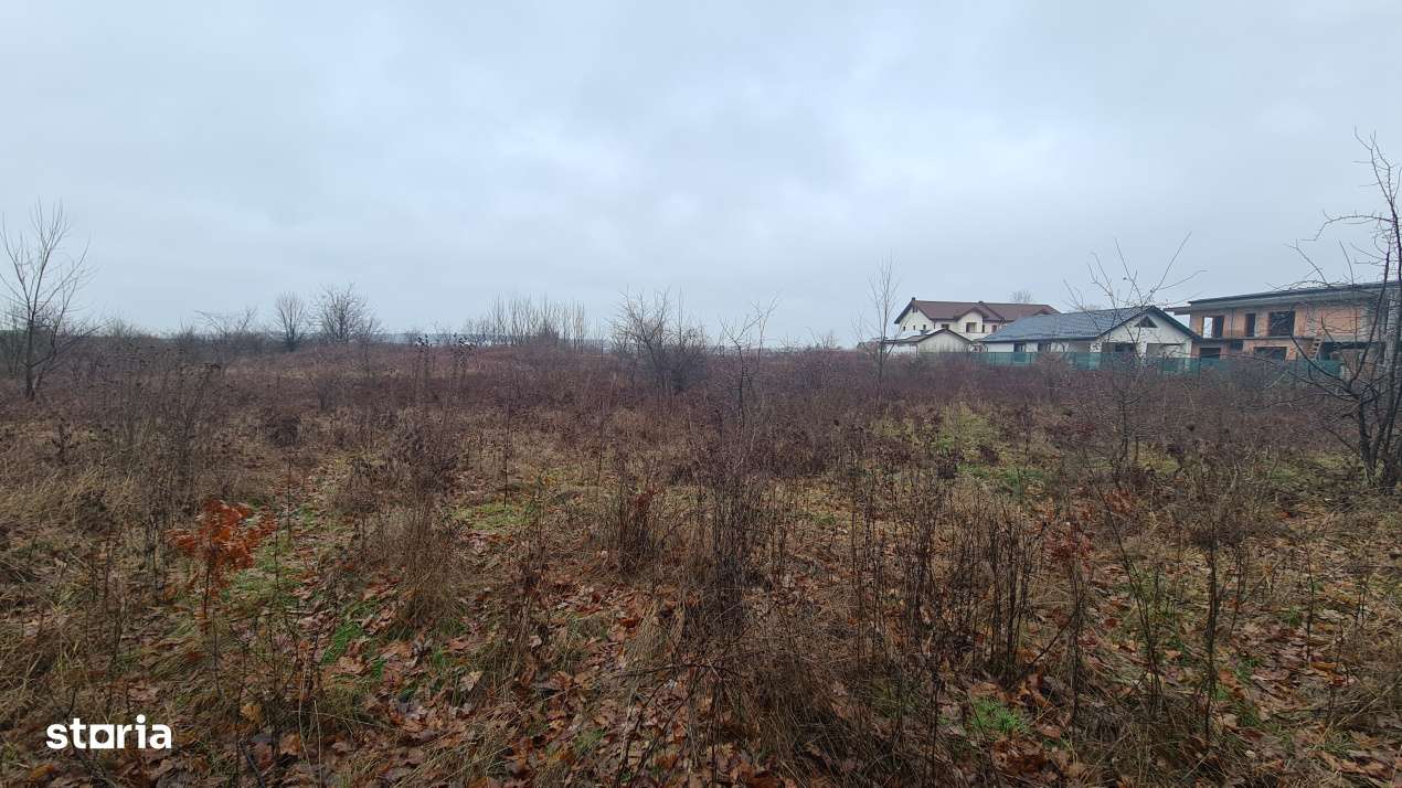 Teren premium rezidential sau industrial 26.651mp Corbeanca – acces-9