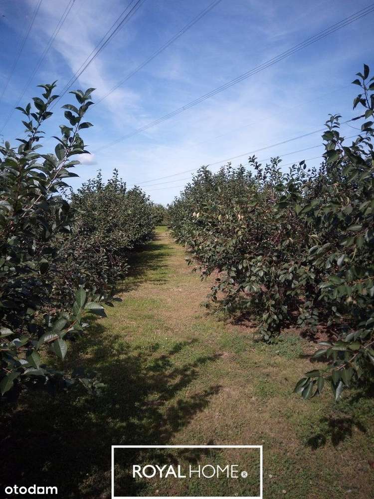 Działka rolna w przepięknej miejscowości - Pełny obrazek: 4/5