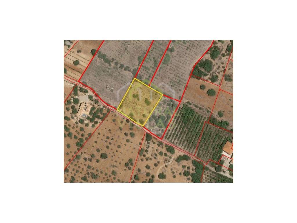 Terreno Rústico Plano com Vista Mar em Conceição - Grande imagem: 4/4