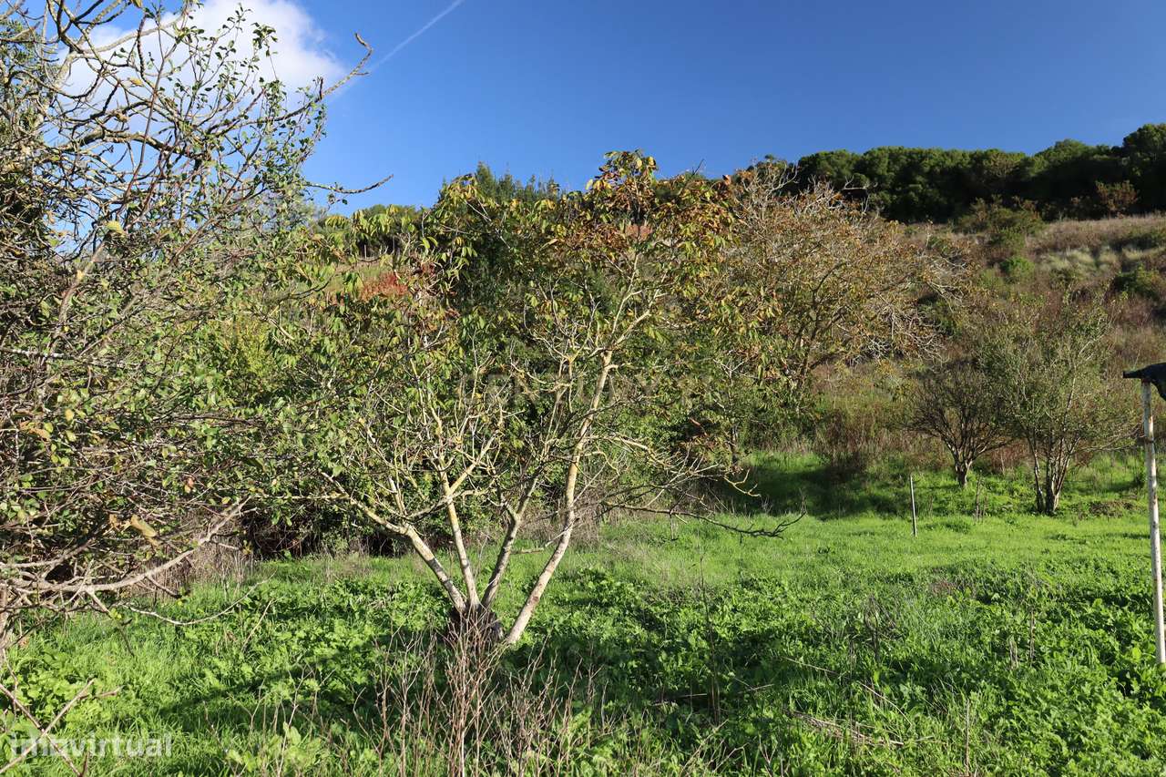 Terreno urbano com casa em ruína na Bemposta, Bucelas-15