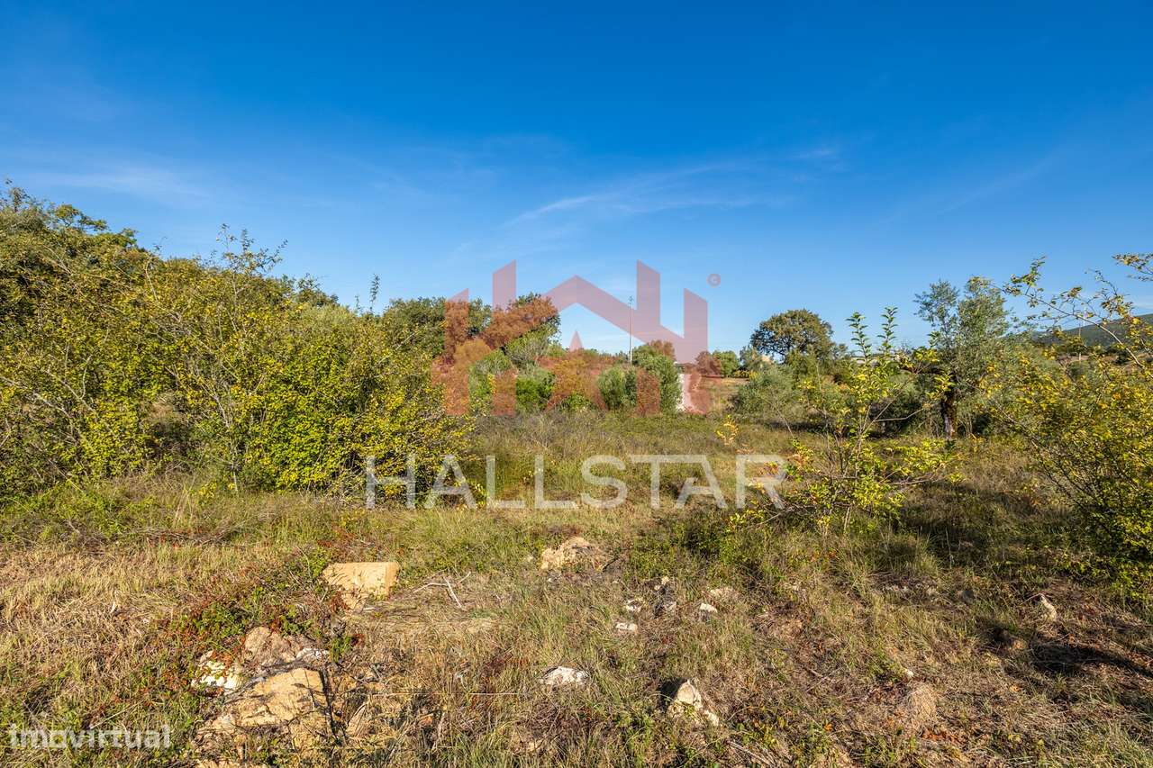 Moradia Rústica / Lote com 1675m2 / Parque Natural das Serras de Aire - Grande imagem: 5/35