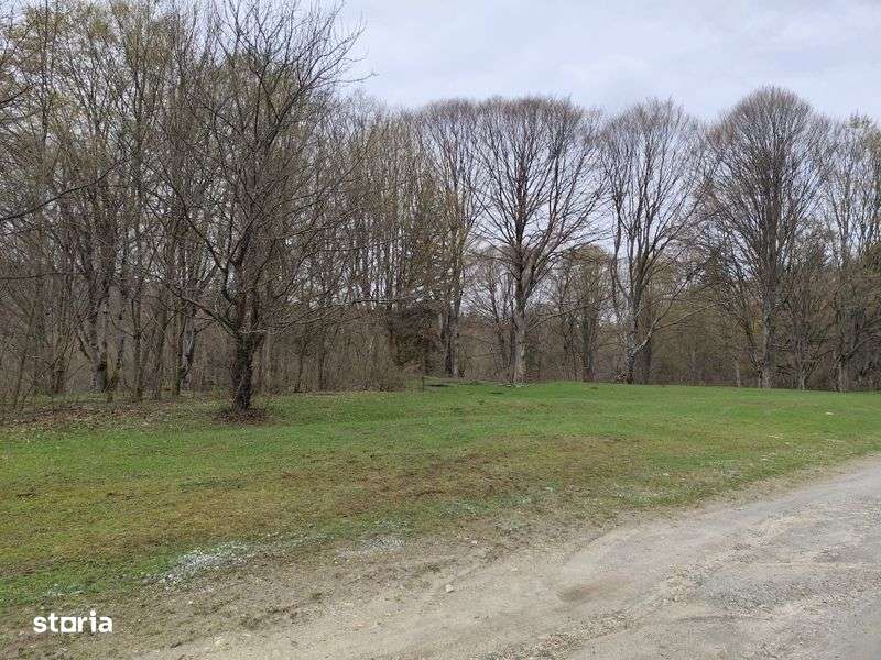 Vand teren pe Valea Avrigului - Imagine principală: 4/8