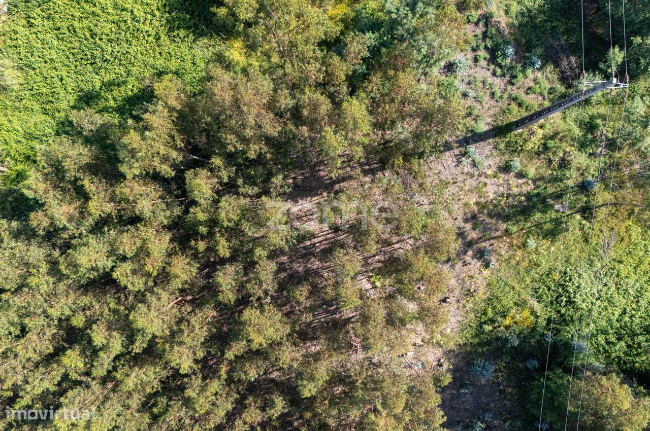 Terreno com 874 m2, em Vandoma, Paredes - Grande imagem: 5/22