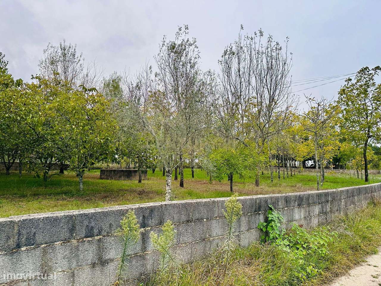 Dois artigos: Urbano com 498 m2 e terreno rústico com 1000 m2 em Vilar - Grande imagem: 5/14