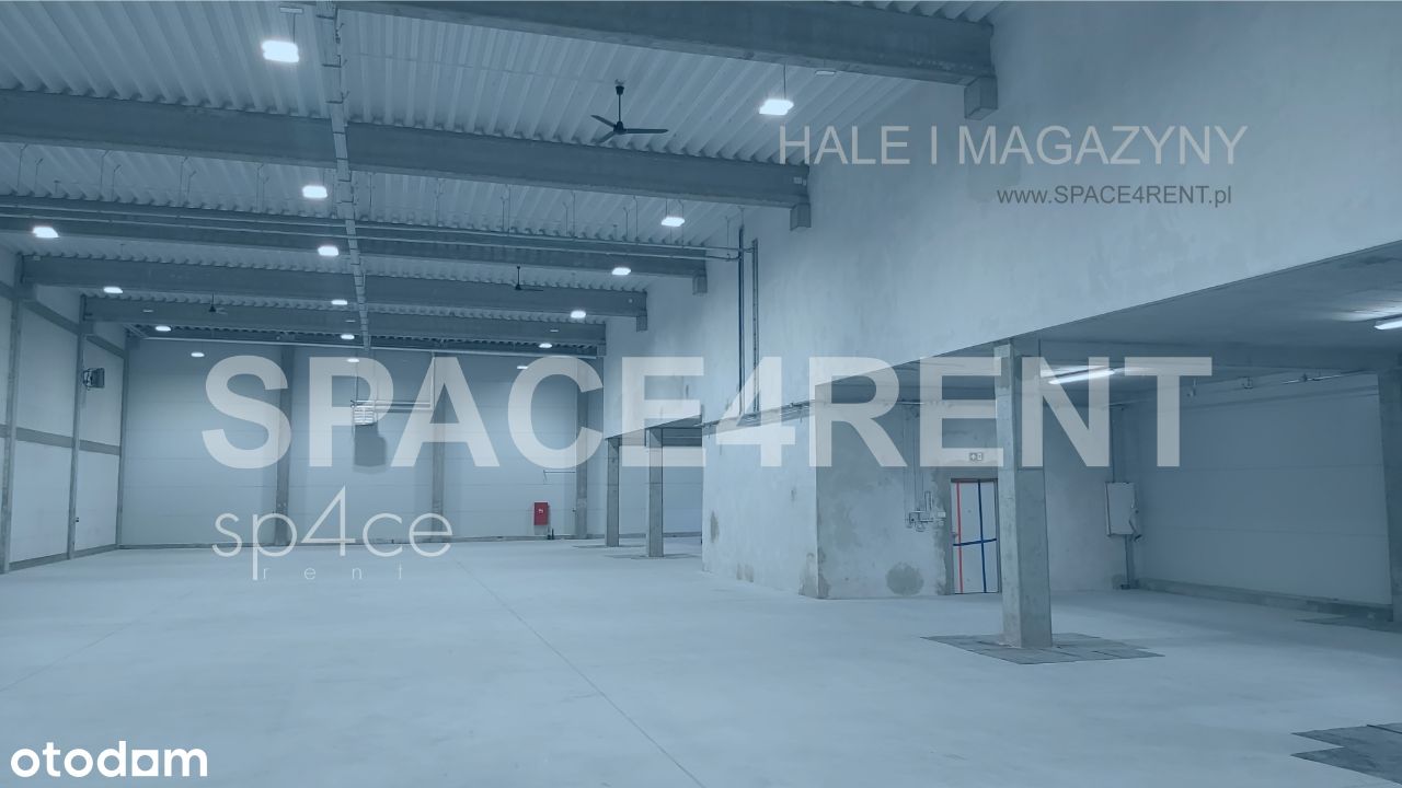 Hala Magazyn WYNAJME - produkcja | magazyn 15.000