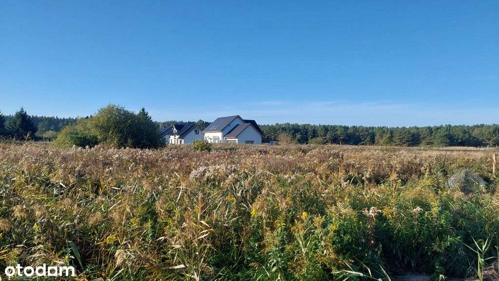 Działka budowlana w Wielgowie - Pełny obrazek: 5/5