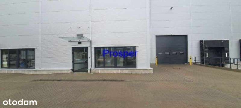 Produkcja suwnica max 16t , h=8,60m do haka - Pełny obrazek: 5/5