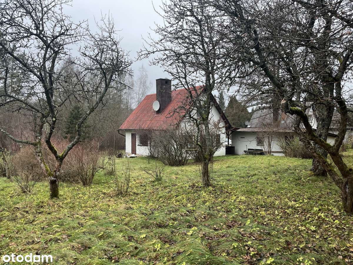 Domek Letniskowy / rzeka / las - Pełny obrazek: 4/7