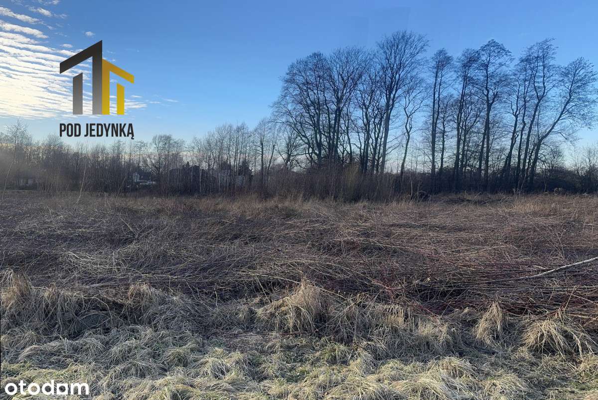 Duża działka budowlana – Łódź, Teofilów! - Pełny obrazek: 3/6