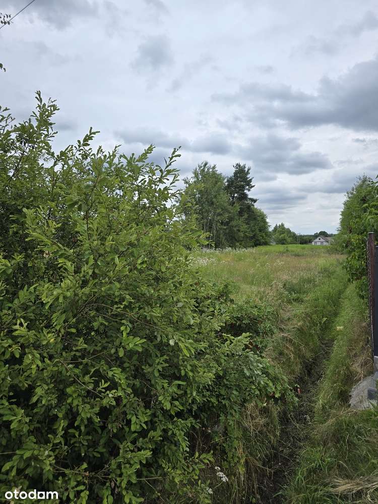 Zendek działka pod zabudowę jednorodzinną, spokojne miejsce - Pełny obrazek: 4/4