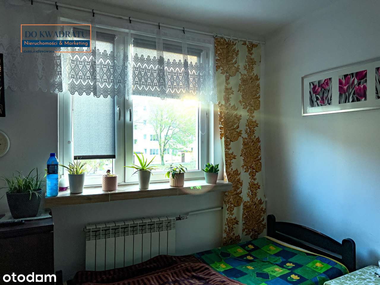 Gotowa Inwestycja | Budynek Wielolokalowy 400 m² - cena do negocjacji-15