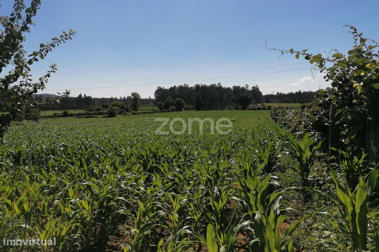 Terreno rustico agrícola com 4.000 M2 em Fradelos-Famalicão - Grande imagem: 5/15