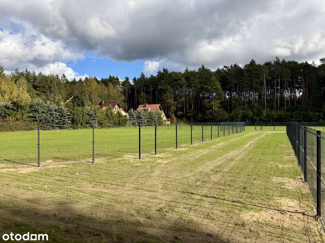 Działki przy jeziorze Lucieńskim i lesie państwowym-10