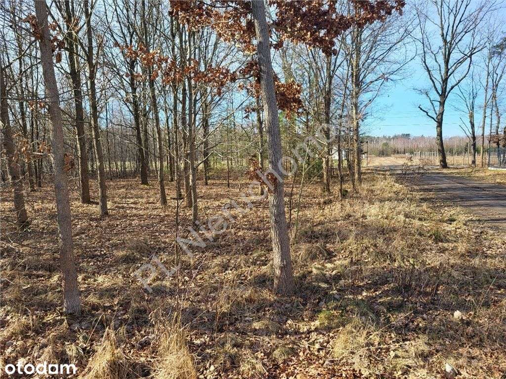 Najnowsza oferta w Cegłowie-6