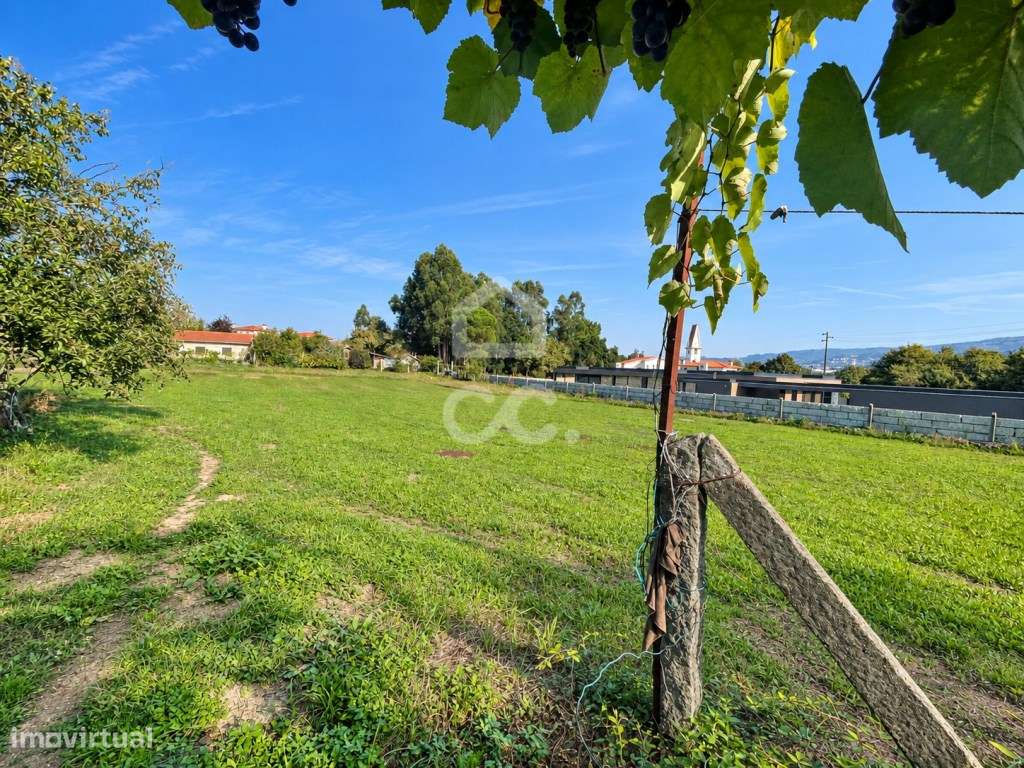 TERRENO PARA CONSTRUÇÃO | SEQUEIRÔ, SANTO TIRSO-5