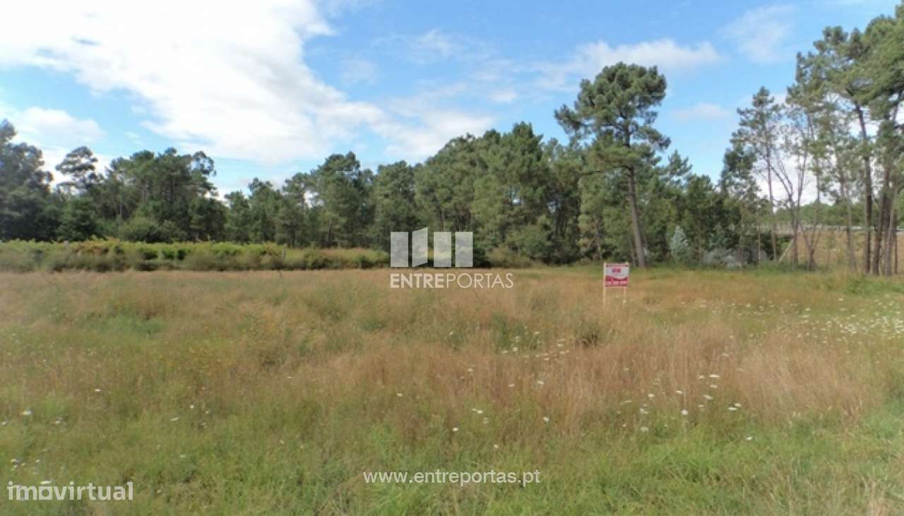 Venda de Terreno, Vila Meã, V.N.Verceira. - Grande imagem: 2/7