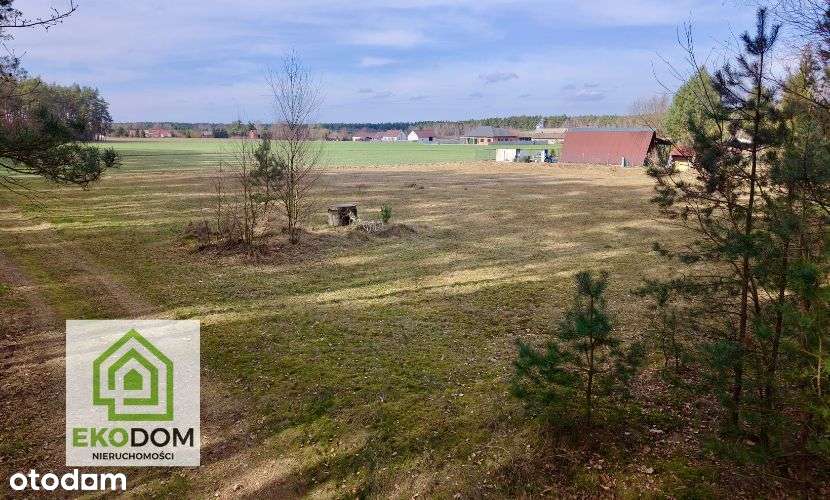 Dwie malownicze  działki pod lasem 1017 i 1957 m2 / Panoszów-6