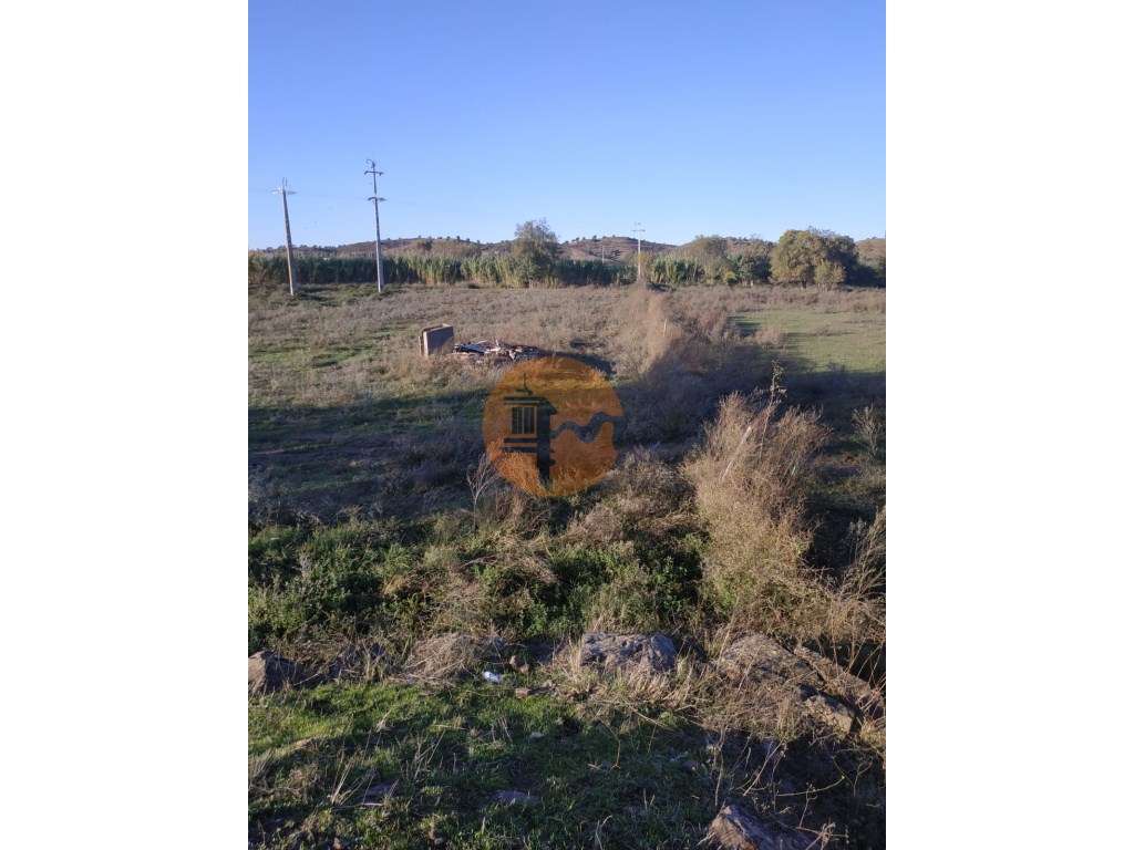 TERRENO COM RUINA - 4.960 M2 - COM NORA - ÁGUA DA BARRAGEM NA JUNQU...-15