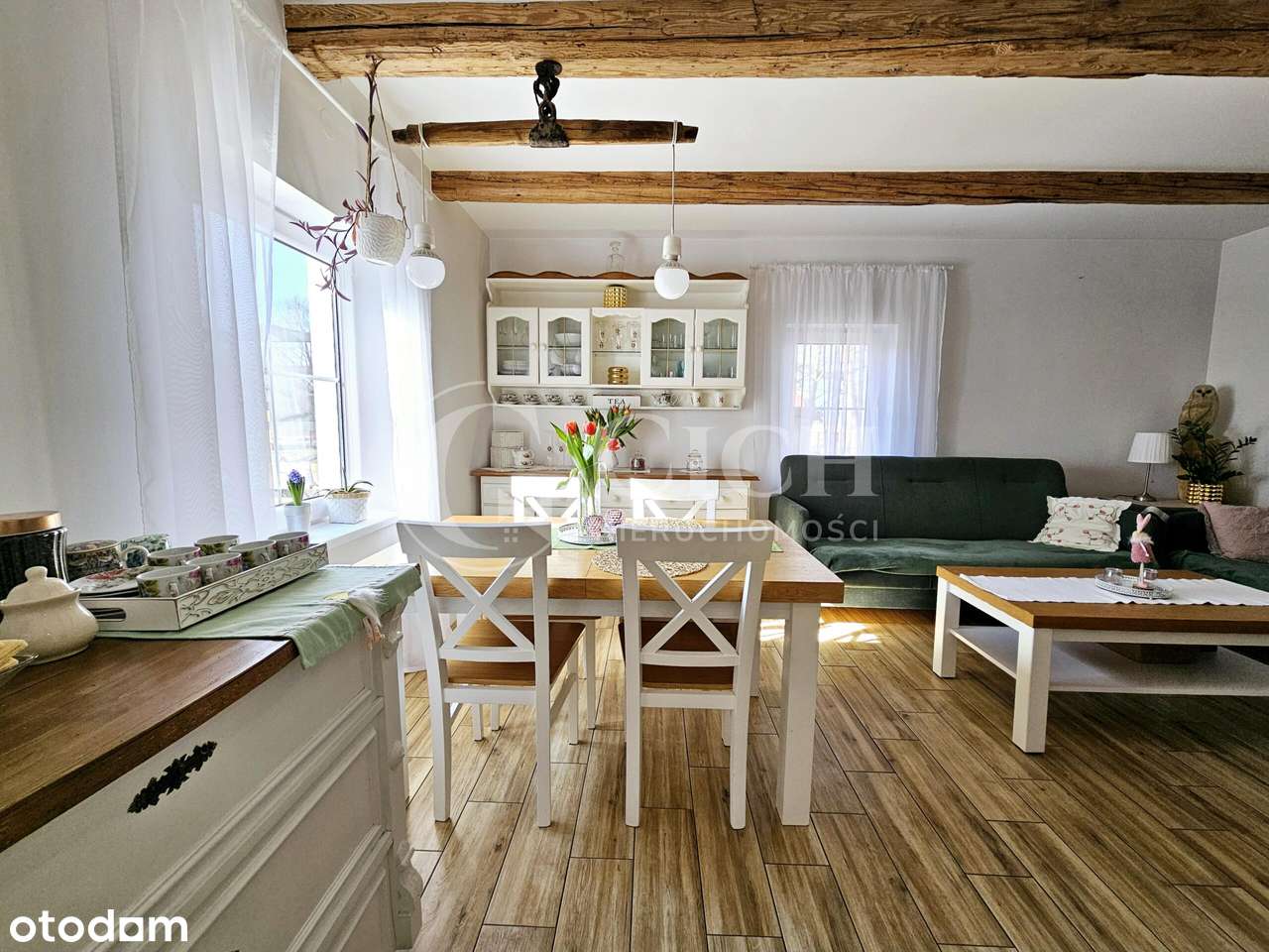 Zadbane siedlisko z prosperującą plantacją jagody kamczackiej.-6