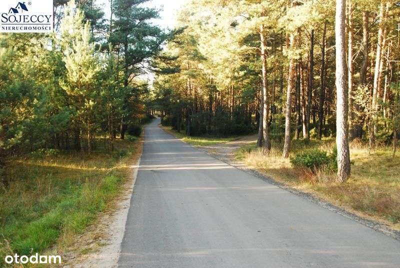 Działka siedliskowa - Krzyż - 12 001 m2-6