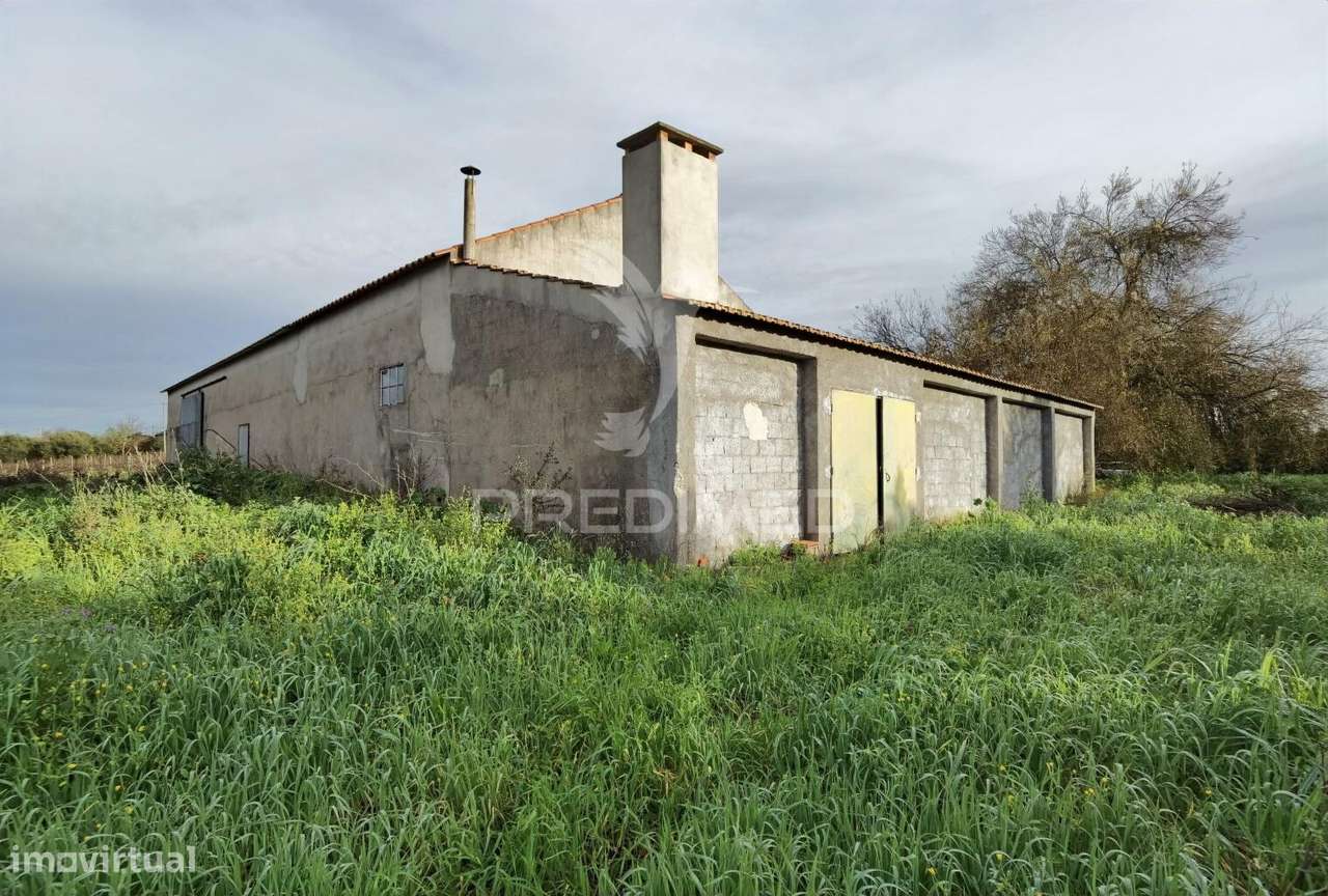 Deslumbrante Quinta , localizada em pleno Ribatejo Casével / Santarém - Grande imagem: 4/40