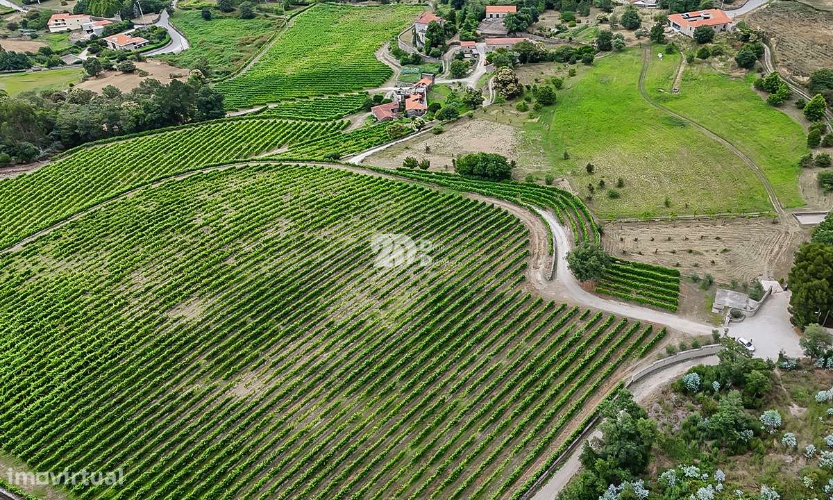 Quinta 80.000m² - Monte Córdova - Grande imagem: 3/11