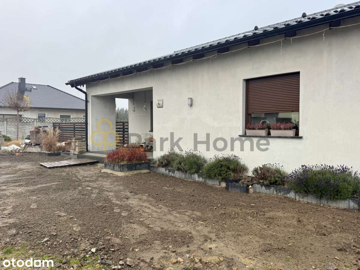 Ładny parterowy dom na działce 1000 m2 - Pełny obrazek: 1/15