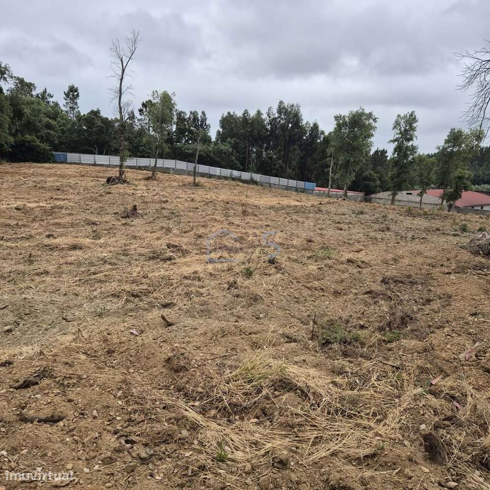 Terreno com 4.560 m² e Viabilidade de Construção – Casais, FZZ-15