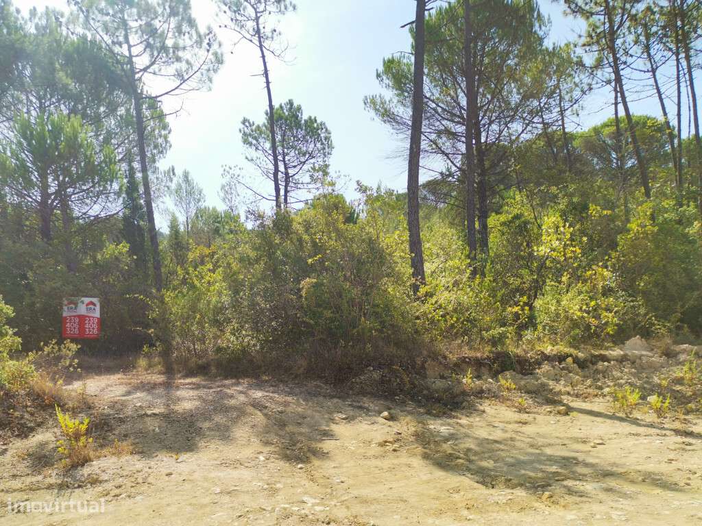 Terreno em zona de Cernache, Coimbra - Grande imagem: 5/5