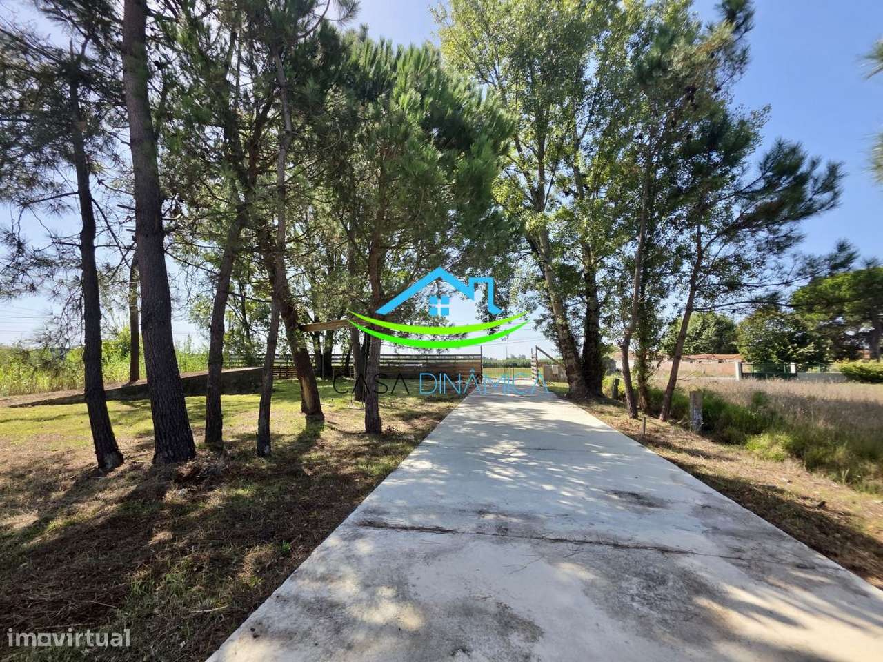 Terreno com 8.369 m² e possibilidade de construção – Arazede, Mon-9