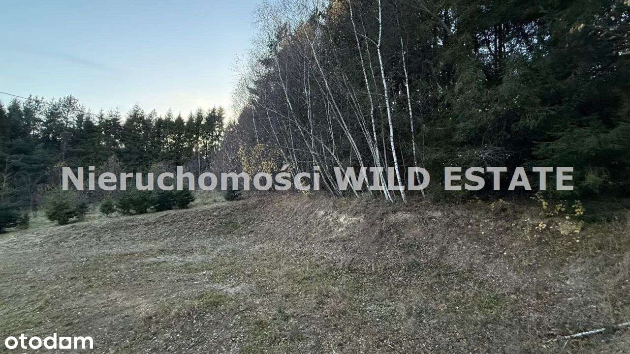 Działka, 1 393 m², Lutowiska - Pełny obrazek: 4/6