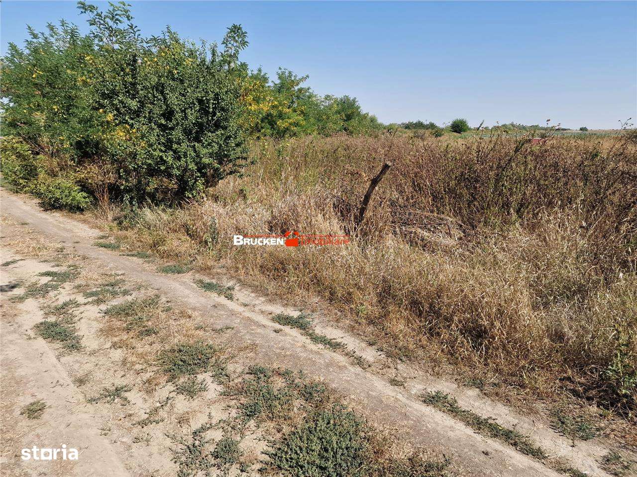 TEREN REZIDENTIAL | TOBOLIU | 1.773 MP - Imagine principală: 4/6