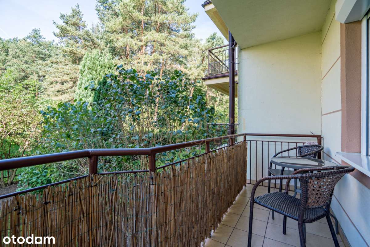 Zamieszkaj przy ścianie lasu!-13