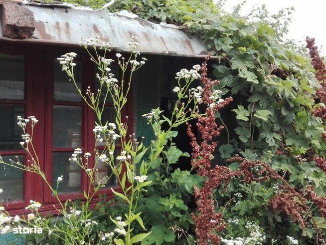 Casa si teren - Vidra, Ilfov-1