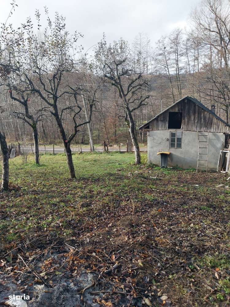 Teren de vanzare 2200 mp, Raul Alb ,DB - Imagine principală: 3/7