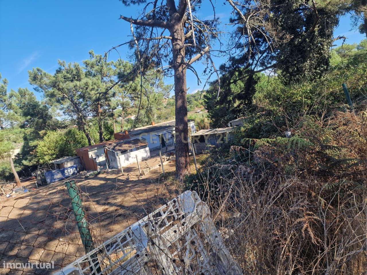 Terreno Rústico Quinta da Rosa - Grande imagem: 5/8