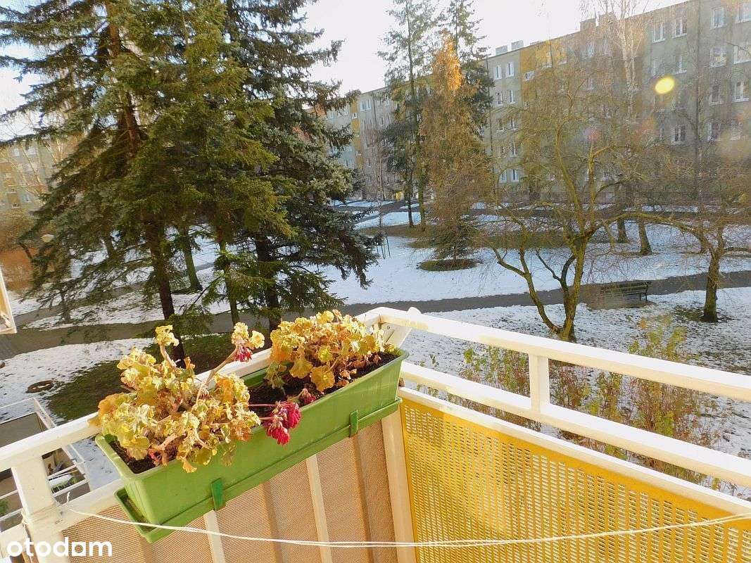 os. Przyjaźni, 3 pokoje, 1 piętro-6