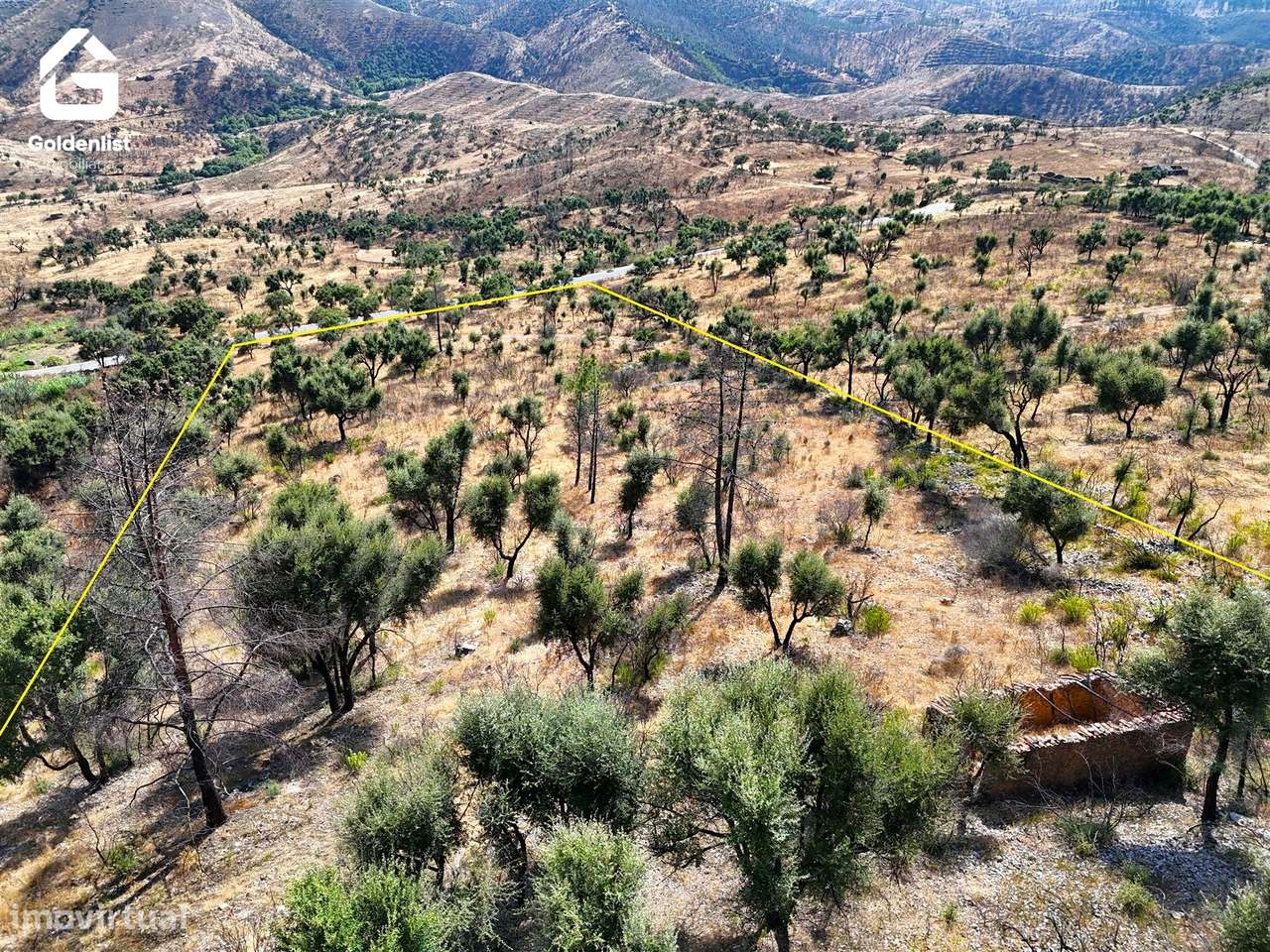 Terreno  Venda em Espírito Santo, Nossa Senhora da Graça e São Simão,N-8