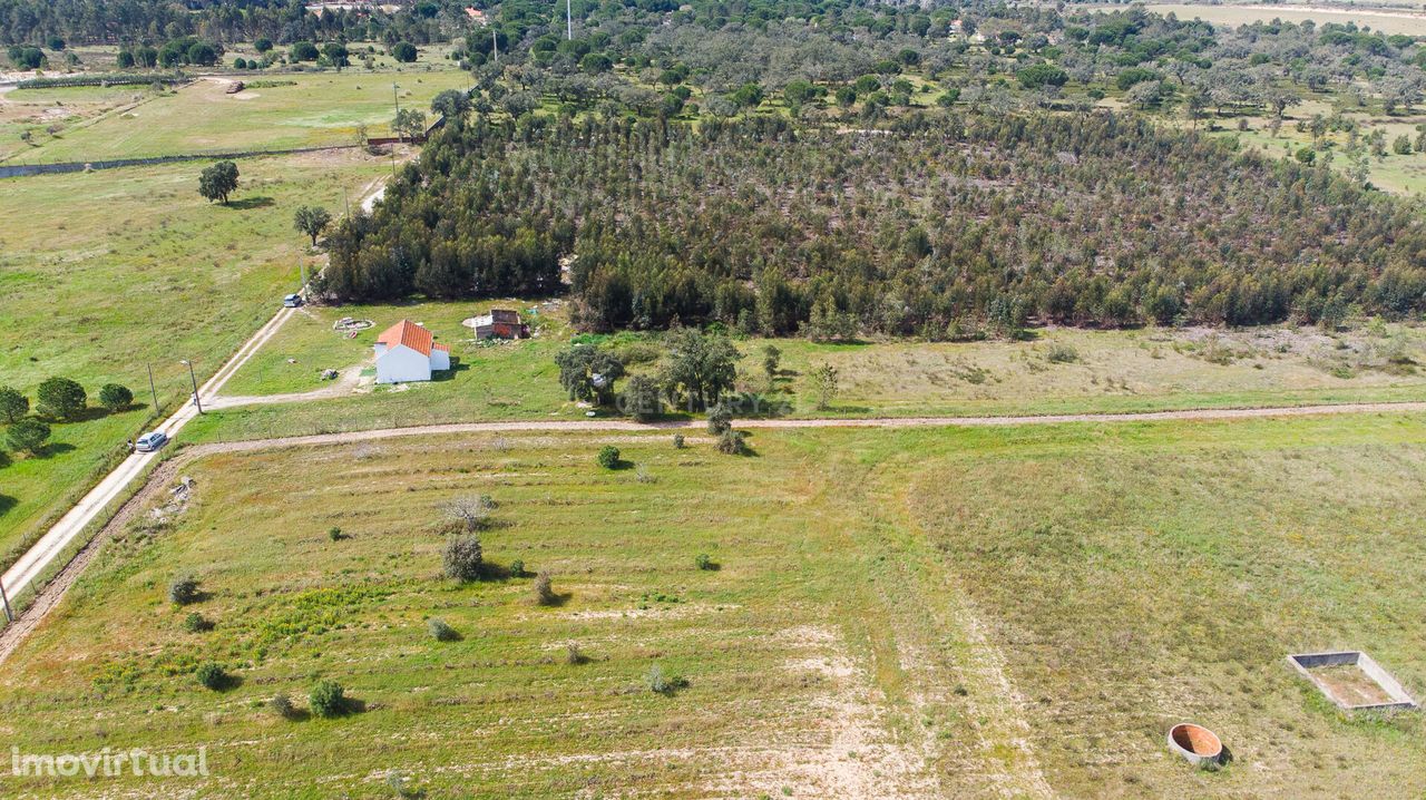 Moradia Santo Estevão com  Terreno 44.230 M2 ( Ideal escola de equitaç