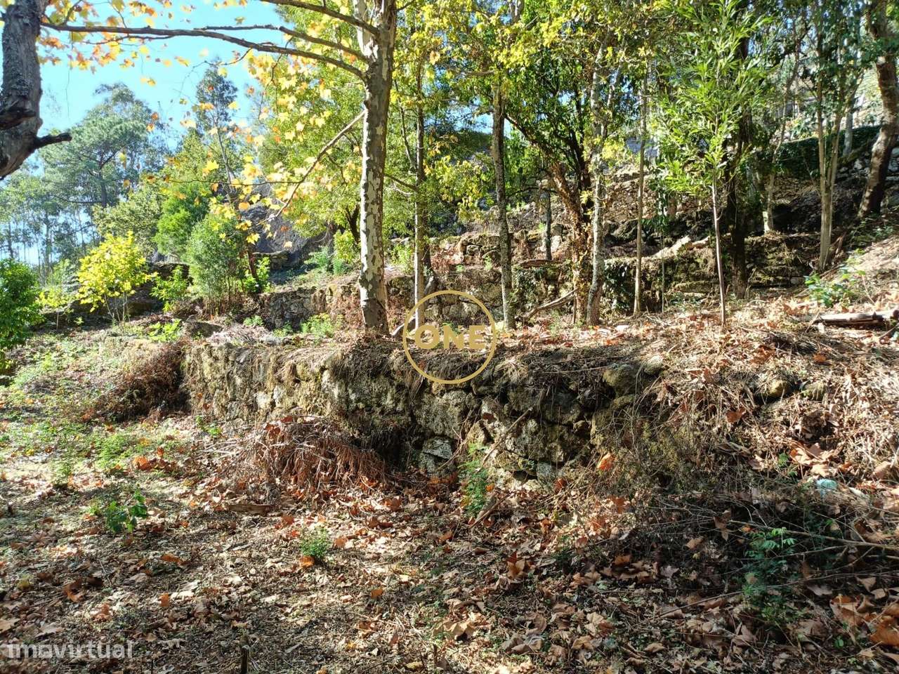 Terreno c/ projeto aprovado em Valdozende - Terras de Bouro - Grande imagem: 4/26
