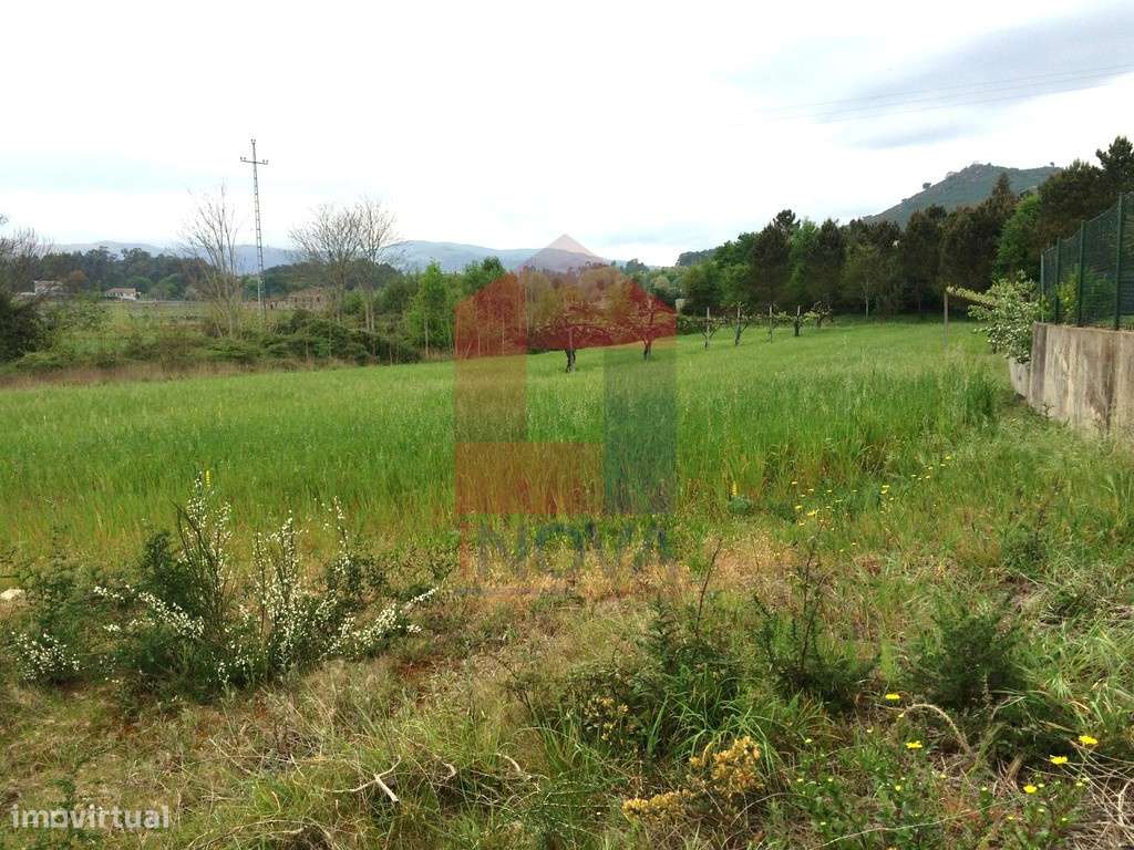 Terreno agrícola, Coucieiro - Grande imagem: 4/13