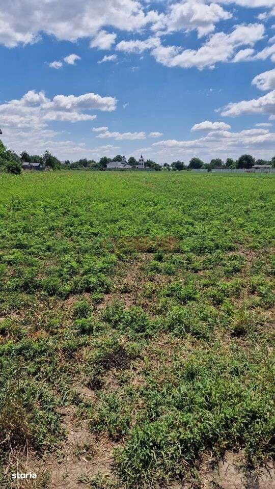 Teren intravilan 9.470 mp – Bolintin-Deal, locație excelentă - Imagine principală: 5/11