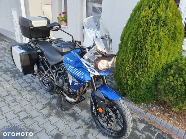 Triumph Tiger - 16