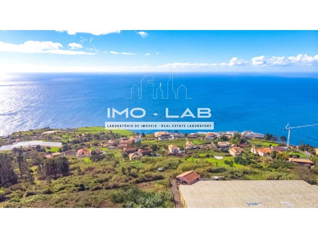 Terreno com 5.000m2 - Prazeres - Calheta - Grande imagem: 5/13
