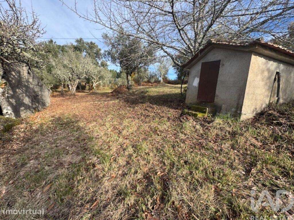 Casa de Campo T2 em Pedrógão Pequeno de 48 m2 - Grande imagem: 4/37