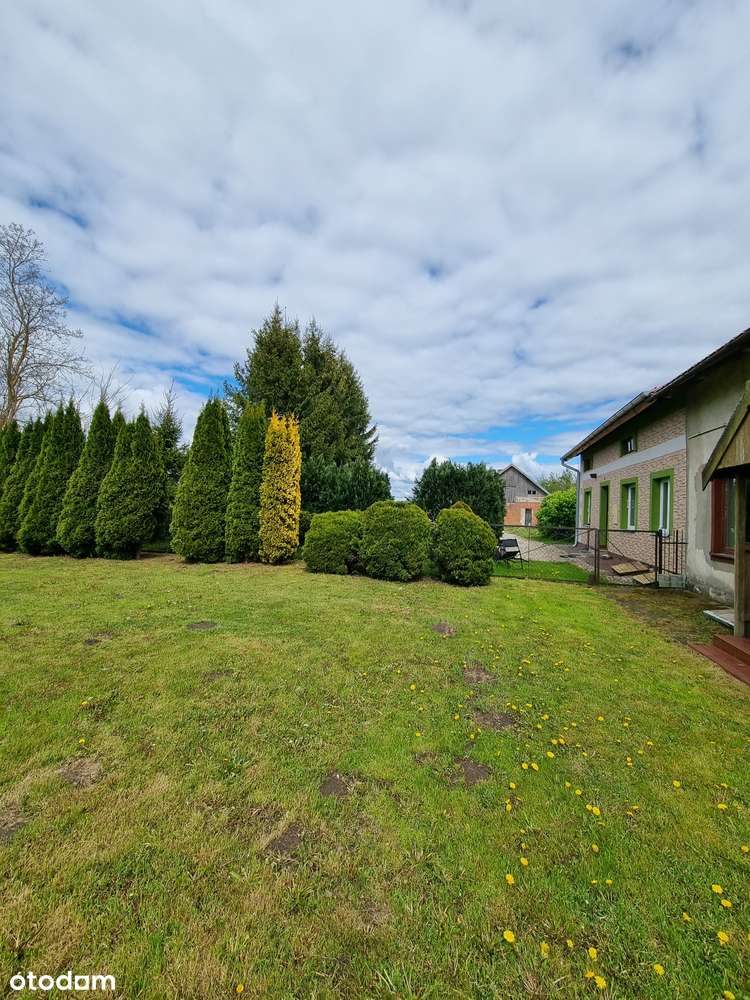 Działka, 79 000 m², Henrykowo-8