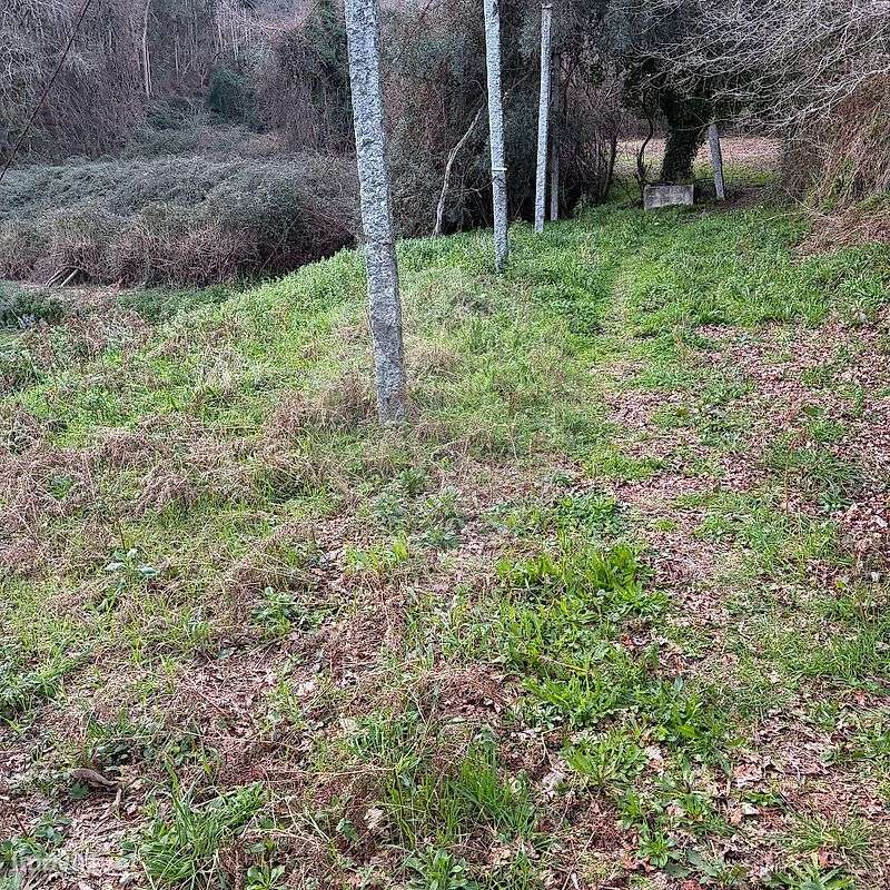 Terreno  para venda - Grande imagem: 5/6