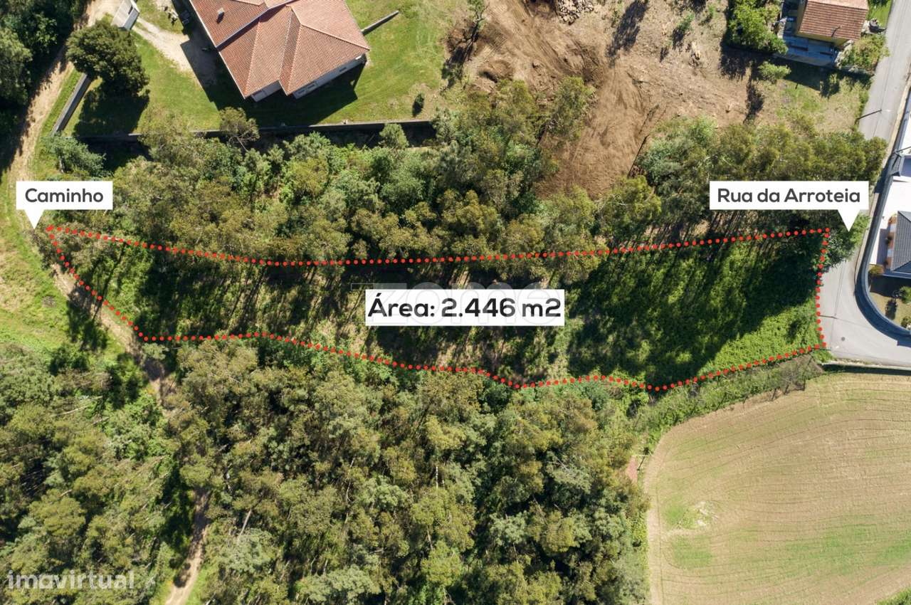 Terreno urbanizável em Caldas de São Jorge - Santa Maria da Feira - Grande imagem: 2/19